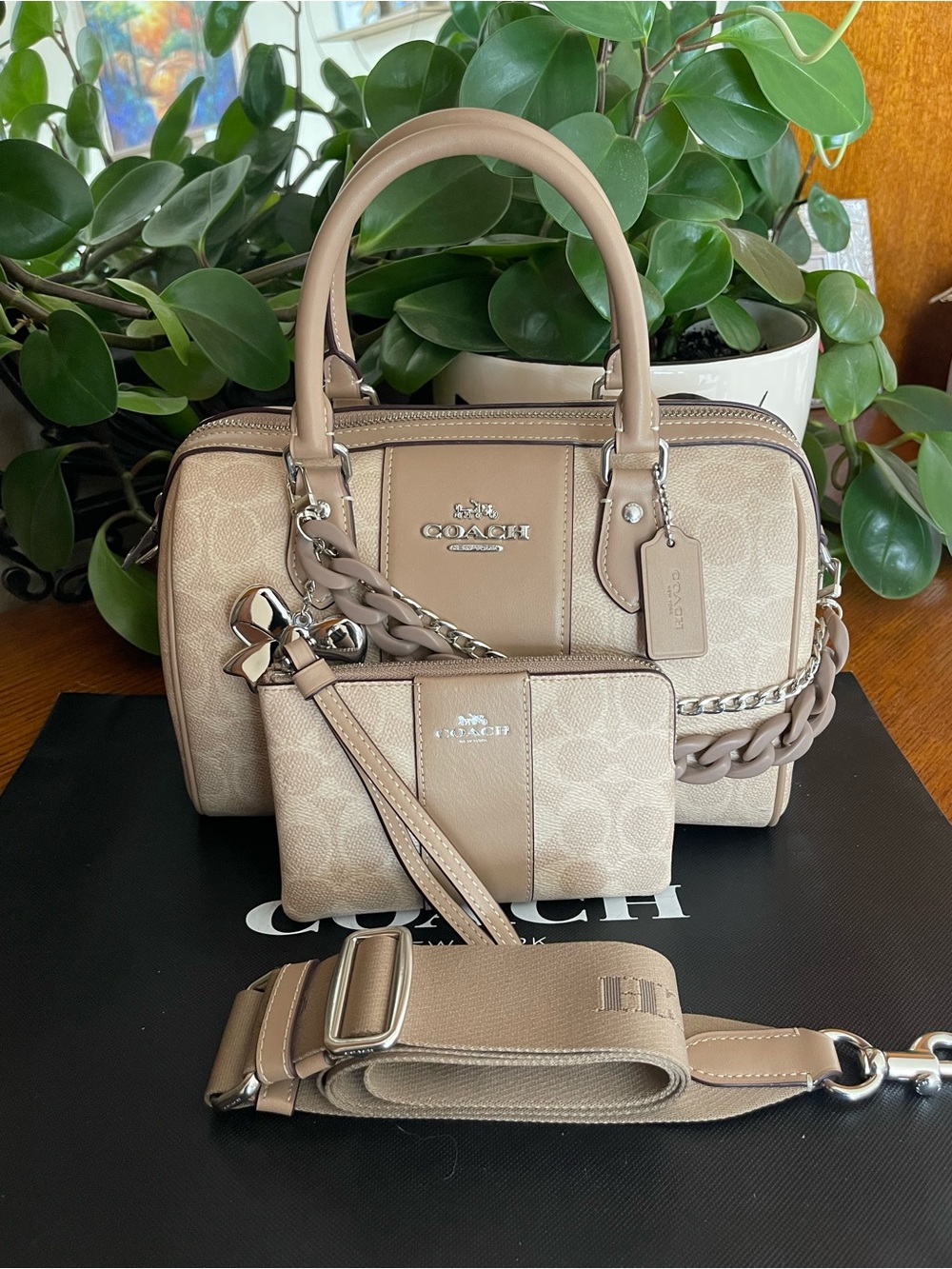 Coach Rowan Satchel with Stipe & NWT Matching Wristlet - Picture 12 of 12